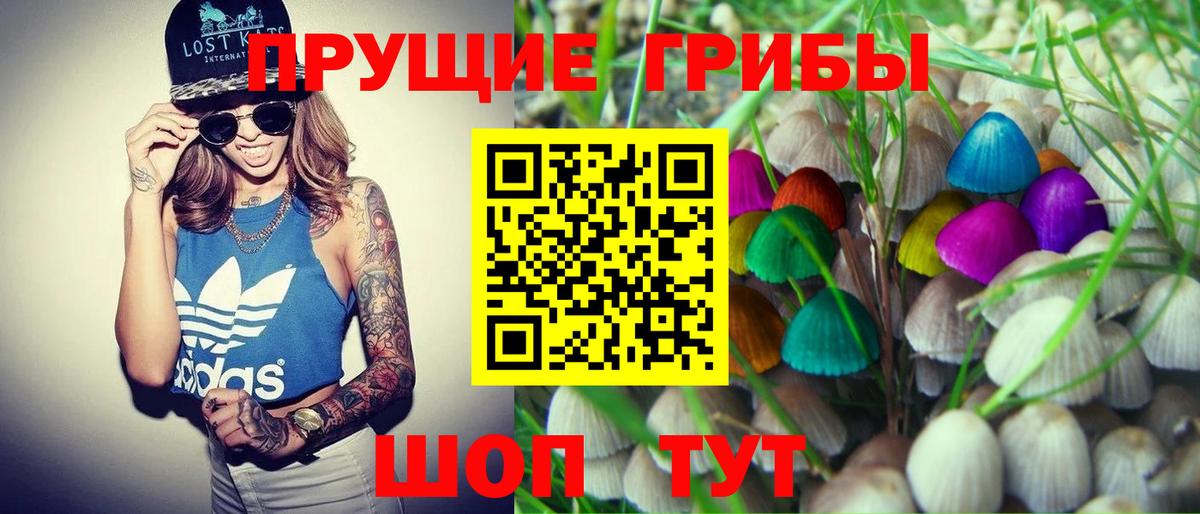 Псилоцибиновые грибы Psilocybine cubensis Мытищи