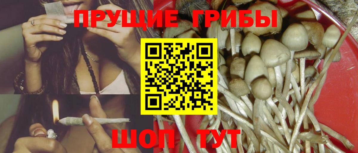 Мытищи  Галлюциногенные грибы Magic Shrooms  Галлюциногенные грибы Magic Shrooms  Вход с VPN 